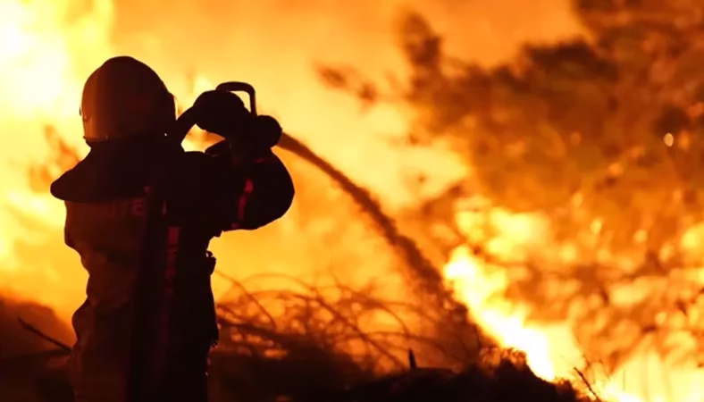 Türkiye 6 Şehirde Orman Yangınları İle Mücadele Ediyor